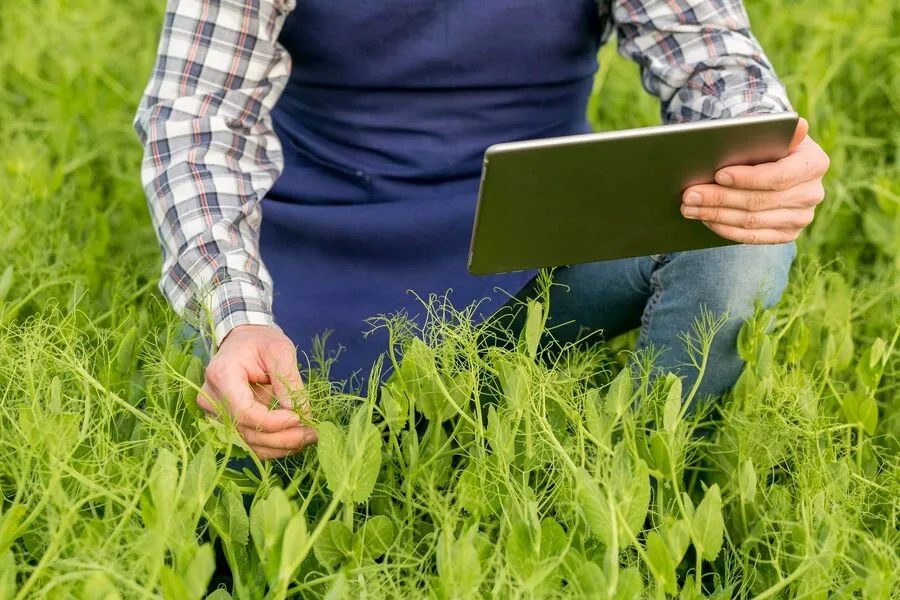 Revolutionizing Agriculture: The Impact of Generative AI on Food Supply blog